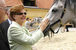 Dr. Vaira Vike-Freiberga und ihr Gatte Prof. Dr. Imants Freibergs (links neben Vike-Freiberga) waren von den Lipizzanern sichtlich angetan, Foto Pachernegg Dr. Vaira Vike-Freiberga und ihr Gatte Prof. Dr. Imants Freibergs (links neben Vike-Freiberga) waren von den Lipizzanern sichtlich angetan, Foto Pachernegg