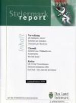 Steiermark Report 1999 