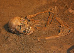 Eines der acht Skelette, die seit dem 27.7.2010 gefunden wurden