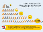Katzen vermehren sich unglaublich schnell © Foto: "Vier Pfoten Österreich"; bei Quellenangabe honorarfrei Katzen vermehren sich unglaublich schnell