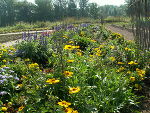 Gartenanlage in Gosdorf aus dem ersten Ausbildungsjahr, Foto: Ausbildungs- und Lehrwerkstätte Gosdorf. Gartenanlage in Gosdorf aus dem ersten Ausbildungsjahr, Foto: Ausbildungs- und Lehrwerkstätte Gosdorf.