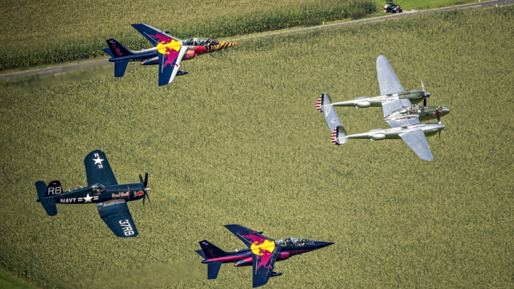 Flying Bulls Flying Bulls