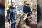Landesrat Hannes Amesbauer übernimmt Tapir-Patenschaft in der Tierwelt Herberstein © Land Steiermark/PB Amesbauer
