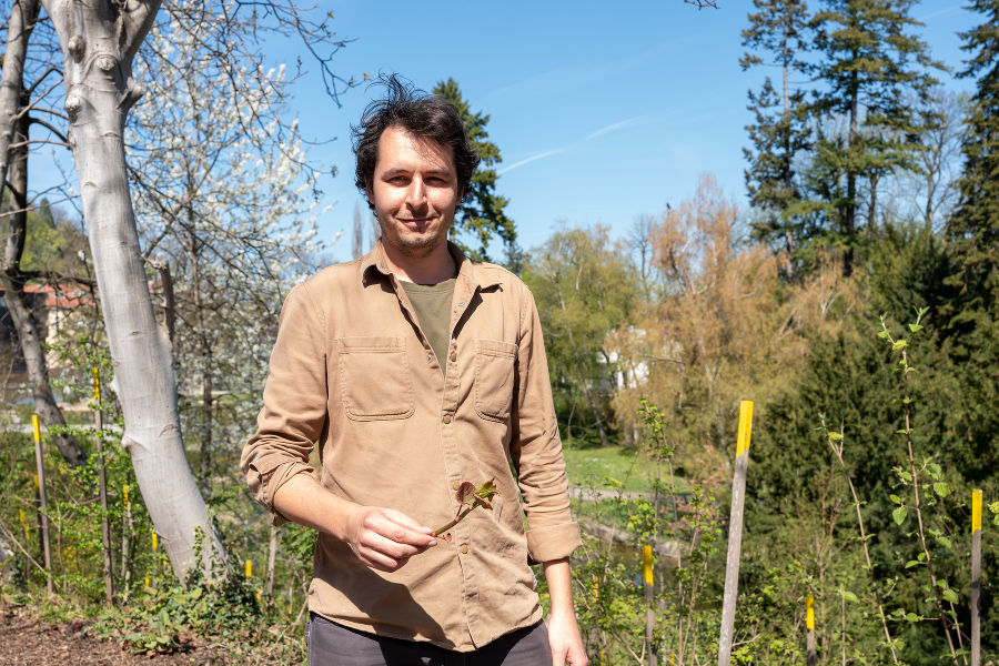 Nico Jandl: Keine Chance für gebietsfremde Pflanzen.