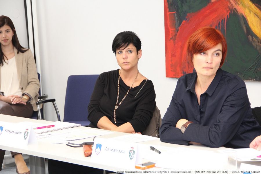 Joint Committee Slowenien-Steiermark