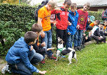 Schülerinnen und Schüler sollen zu Tierschutz-Kumpel ausgebildet werden.  © Foto: Verein TierschutzmachtSchule; bei Quellenangabe honorarfrei