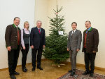 Christbaum von der Holzwelt Murau für die Grazer Burg: Harald Kraxner, Bernadette Maier, Hermann Schützenhöfer, Michael Schickhofer und Johann Gruber © Foto: steiermark.at/Scheriau