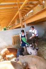 Tierschutzpreis des Landes Steiermark