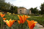 Die Blütenpracht des neu gestalteten Burggartens mit Blick auf die renovierte Orangerie. Foto Philipp Die Blütenpracht des neu gestalteten Burggartens mit Blick auf die renovierte Orangerie. Foto Philipp