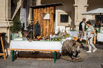 Impressionen vom "Markt der Artenvielfalt" am 27. September im Landhaushof