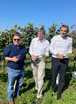 LR Werner Amon bei der Weinlese am Weinberg „Horvat“ © Land Steiermark; Verwendung bei Quellenangabe honorarfrei LR Werner Amon bei der Weinlese am Weinberg „Horvat“