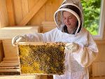 Bienen © LFS Grabnerhof